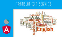 Angular translate module