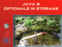 optionals in streams
